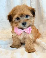 processed/0f5b73e2-4cdc-4620-9db4-62a8269dc5f7/listing/dbfccec6-4406-47f6-a142-b3b63ee56c4e/1042d6c6-9968-45e3-b955-084f24041f60