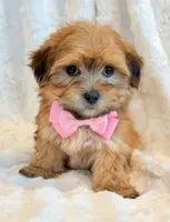 processed/0f5b73e2-4cdc-4620-9db4-62a8269dc5f7/listing/dbfccec6-4406-47f6-a142-b3b63ee56c4e/378ccc7c-abe5-4a21-93f7-4efc2936809c