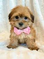 processed/0f5b73e2-4cdc-4620-9db4-62a8269dc5f7/listing/dbfccec6-4406-47f6-a142-b3b63ee56c4e/3c9d9053-12a2-4d9e-ab1a-ab6ae2cef581