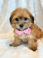 processed/0f5b73e2-4cdc-4620-9db4-62a8269dc5f7/listing/dbfccec6-4406-47f6-a142-b3b63ee56c4e/6b776588-4ffc-4e0b-90a5-7e489075f49e