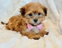 processed/0f5b73e2-4cdc-4620-9db4-62a8269dc5f7/listing/dbfccec6-4406-47f6-a142-b3b63ee56c4e/7c4e83cb-9e3c-40c9-8fdd-622fa5b7a62a