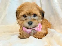 processed/0f5b73e2-4cdc-4620-9db4-62a8269dc5f7/listing/dbfccec6-4406-47f6-a142-b3b63ee56c4e/84e76a63-e292-41d9-87d3-1223814ca9ad