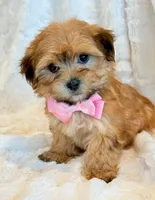 processed/0f5b73e2-4cdc-4620-9db4-62a8269dc5f7/listing/dbfccec6-4406-47f6-a142-b3b63ee56c4e/9d251935-e53b-47ba-a7fd-1019420b9a55