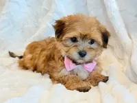 processed/0f5b73e2-4cdc-4620-9db4-62a8269dc5f7/listing/dbfccec6-4406-47f6-a142-b3b63ee56c4e/febfc427-262b-4bf2-a0e0-95a40e5c1a3b