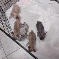 processed/0f5fd013-c4cb-42c3-81ca-dd79e7a99acc/facility/765f29dc-bbab-4262-8f3c-3cb3188d26e6