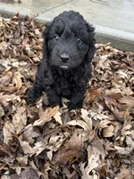 processed/0f6109e0-d3a0-40b6-943f-16c69799af20/listing/f5ad267f-4324-42b9-939e-7581b1d4e865/8561cdff-caed-459c-bcac-0fe4cd704cc0