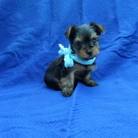 processed/0f628294-e068-461f-89ce-7299bd7c425c/facility/4631a4a5-50ff-4967-bd2e-a287e947a441