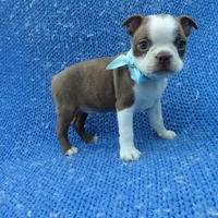 processed/0f628294-e068-461f-89ce-7299bd7c425c/facility/6387b97e-6464-4058-b911-9a39d0f13c7e