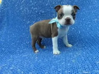 processed/0f628294-e068-461f-89ce-7299bd7c425c/facility/6387b97e-6464-4058-b911-9a39d0f13c7e