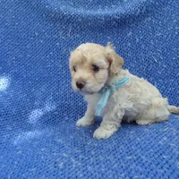 processed/0f628294-e068-461f-89ce-7299bd7c425c/facility/c76f4a03-ef9f-4a61-9fd8-053445174e13