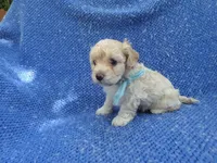 processed/0f628294-e068-461f-89ce-7299bd7c425c/facility/c76f4a03-ef9f-4a61-9fd8-053445174e13