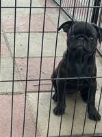 processed/0f822abc-c116-4cca-9ebf-dda480a5dac5/listing/2241d2b2-f787-4dcc-8215-a93903c91494/991c850b-ccd0-471a-95bb-8197f766d9ce