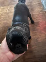 processed/0f822abc-c116-4cca-9ebf-dda480a5dac5/listing/a0891b06-8704-4269-9634-56d5a35b35b6/b5c26528-5584-49e6-b3b3-2fa50f179454