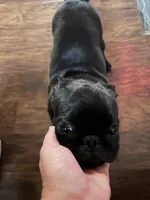 processed/0f822abc-c116-4cca-9ebf-dda480a5dac5/listing/a0891b06-8704-4269-9634-56d5a35b35b6/ea92348c-bb64-4d0a-8b2e-8a8b2dcaef9b