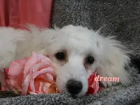 processed/0f854062-181b-401c-8c93-d366ea41d375/listing/28cdfe7d-34ff-42e2-ba83-e718ad056682/699db977-2999-4cb9-9155-d732aa95a555