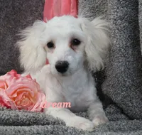 processed/0f854062-181b-401c-8c93-d366ea41d375/listing/28cdfe7d-34ff-42e2-ba83-e718ad056682/976e82ba-57e4-4156-8fe8-8a005422d3f1