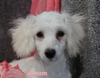 processed/0f854062-181b-401c-8c93-d366ea41d375/listing/28cdfe7d-34ff-42e2-ba83-e718ad056682/addc1f63-5b8a-4be8-99ee-a4fd5abba56a