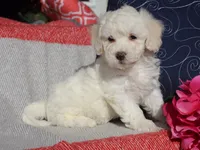 processed/0f854062-181b-401c-8c93-d366ea41d375/listing/28cdfe7d-34ff-42e2-ba83-e718ad056682/b26d2538-015e-40d8-964b-6dfee6b6ef9f