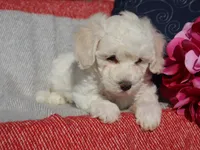 processed/0f854062-181b-401c-8c93-d366ea41d375/listing/28cdfe7d-34ff-42e2-ba83-e718ad056682/dbeb3703-c3b1-472a-8c53-149c128893bf