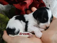 processed/0f854062-181b-401c-8c93-d366ea41d375/listing/4143ec29-2d0d-43a7-9b93-aa621a21c0aa/c2a16b5b-4072-46bc-a35f-7c087d365011