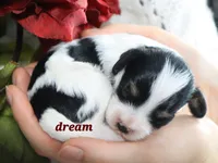 processed/0f854062-181b-401c-8c93-d366ea41d375/listing/4143ec29-2d0d-43a7-9b93-aa621a21c0aa/ca3db057-8941-4a92-8921-11e8dbcdcc0c