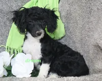 processed/0f854062-181b-401c-8c93-d366ea41d375/listing/5cc23c53-67c0-4bac-9e00-780541981384/3856fa8b-6387-4dfd-9e6b-3711a3982a43