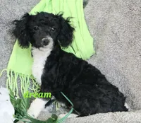 processed/0f854062-181b-401c-8c93-d366ea41d375/listing/5cc23c53-67c0-4bac-9e00-780541981384/429f652d-87dc-4475-8a51-5bc924b9327a