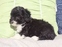 processed/0f854062-181b-401c-8c93-d366ea41d375/listing/5cc23c53-67c0-4bac-9e00-780541981384/82345bac-87c3-45eb-8680-b2197d11e6ed