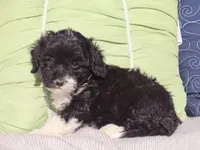 processed/0f854062-181b-401c-8c93-d366ea41d375/listing/5cc23c53-67c0-4bac-9e00-780541981384/f07e879e-4ce7-43de-bbf8-cf605360baec