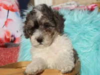 processed/0f854062-181b-401c-8c93-d366ea41d375/listing/61d8483b-fa57-49a9-a7b5-09b7e8e1f61a/2444d299-7cbe-4dcf-8f5b-3906a6bbca77