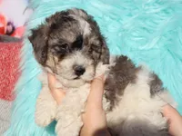 processed/0f854062-181b-401c-8c93-d366ea41d375/listing/61d8483b-fa57-49a9-a7b5-09b7e8e1f61a/5dcce870-67fd-4276-a2b6-1f11a04571bf