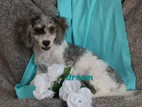 processed/0f854062-181b-401c-8c93-d366ea41d375/listing/61d8483b-fa57-49a9-a7b5-09b7e8e1f61a/5ec62839-3b7d-46ff-86b0-36d638434e40