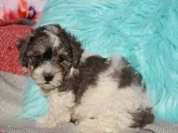 processed/0f854062-181b-401c-8c93-d366ea41d375/listing/61d8483b-fa57-49a9-a7b5-09b7e8e1f61a/64df5b82-f4a5-4300-b1b5-a3a3606ade09