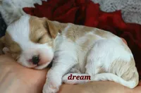 processed/0f854062-181b-401c-8c93-d366ea41d375/listing/7228a70a-b4b0-4395-b517-046a1a494d0c/05e42452-fc72-4675-a2e3-670390a2b7ae