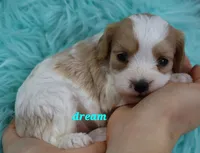 processed/0f854062-181b-401c-8c93-d366ea41d375/listing/7228a70a-b4b0-4395-b517-046a1a494d0c/2d70f7b1-73f8-45a1-97fc-c2a23496c7d3