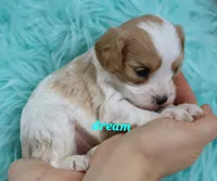 processed/0f854062-181b-401c-8c93-d366ea41d375/listing/7228a70a-b4b0-4395-b517-046a1a494d0c/445bcca1-800e-448f-9235-790bfd90e6cb