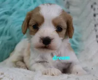 processed/0f854062-181b-401c-8c93-d366ea41d375/listing/7228a70a-b4b0-4395-b517-046a1a494d0c/c06bc0a8-3499-4962-8835-64ecb997fe12