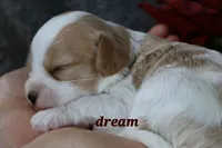 processed/0f854062-181b-401c-8c93-d366ea41d375/listing/7228a70a-b4b0-4395-b517-046a1a494d0c/fc303a68-b5bf-4edc-95dc-08d57e5abec5