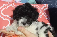 processed/0f854062-181b-401c-8c93-d366ea41d375/listing/b95b70d7-a3b1-4e50-922e-e37c47b9560a/12507853-0bb1-4b2b-896f-efd89d598e63