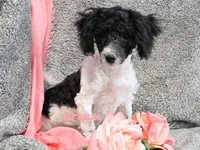 processed/0f854062-181b-401c-8c93-d366ea41d375/listing/b95b70d7-a3b1-4e50-922e-e37c47b9560a/1ab3cb8b-15eb-41ce-a6b1-f19fb79f079e