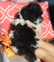 processed/0f854062-181b-401c-8c93-d366ea41d375/listing/b95b70d7-a3b1-4e50-922e-e37c47b9560a/3354bb67-35f8-42bc-b839-d100d5819d1d