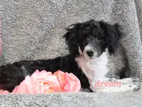 processed/0f854062-181b-401c-8c93-d366ea41d375/listing/b95b70d7-a3b1-4e50-922e-e37c47b9560a/4a2fa2e5-db3e-4d87-82b1-e68643476493