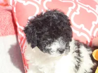 processed/0f854062-181b-401c-8c93-d366ea41d375/listing/b95b70d7-a3b1-4e50-922e-e37c47b9560a/5cdc30a9-f874-444f-b89f-e1a015dc4ee6