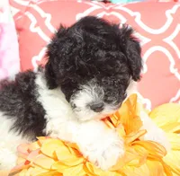 processed/0f854062-181b-401c-8c93-d366ea41d375/listing/b95b70d7-a3b1-4e50-922e-e37c47b9560a/7f465586-634b-42e4-a002-c7d36490f0d8