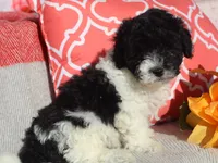 processed/0f854062-181b-401c-8c93-d366ea41d375/listing/b95b70d7-a3b1-4e50-922e-e37c47b9560a/93e47be1-d7e7-4f68-bbf2-60b2f104d9d6