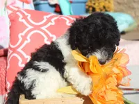 processed/0f854062-181b-401c-8c93-d366ea41d375/listing/b95b70d7-a3b1-4e50-922e-e37c47b9560a/b4f8c78a-e7d4-460e-aee9-6a4d60251306