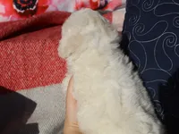 processed/0f854062-181b-401c-8c93-d366ea41d375/listing/bf430733-bc7f-4dd8-a423-488978fa9c2a/3d9a29b1-f946-4aed-874d-67c9e2da8786