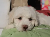 processed/0f854062-181b-401c-8c93-d366ea41d375/listing/bf430733-bc7f-4dd8-a423-488978fa9c2a/43db4827-64f6-4f7c-8112-a6c8376e6a08