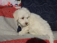 processed/0f854062-181b-401c-8c93-d366ea41d375/listing/bf430733-bc7f-4dd8-a423-488978fa9c2a/8628c7d5-463e-44b6-a4c4-683b3c78428d