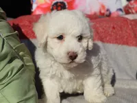 processed/0f854062-181b-401c-8c93-d366ea41d375/listing/bf430733-bc7f-4dd8-a423-488978fa9c2a/9bf9679e-cc98-4936-bf7b-5e9fa6ccd26a